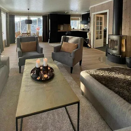 Cozy With Ski-inout At Raulandsfjell Tatil Evi