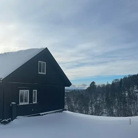 Tatil Evi Cozy With Ski-inout At Raulandsfjell *