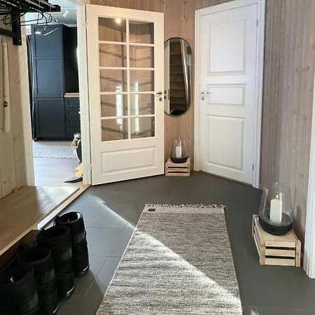 Cozy With Ski-inout At Raulandsfjell Tatil Evi Rauland