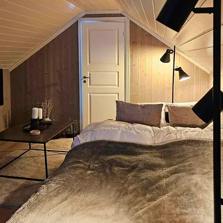 Tatil Evi Cozy With Ski-inout At Raulandsfjell *