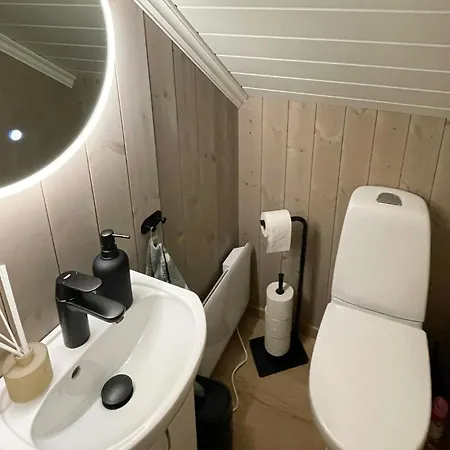 Cozy With Ski-inout At Raulandsfjell Nyaraló *