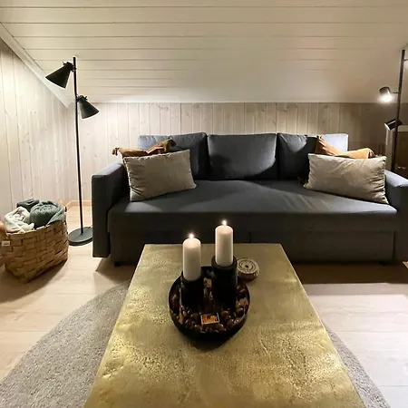 Tatil Evi Cozy With Ski-inout At Raulandsfjell *