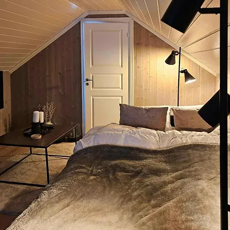 Cozy With Ski-inout At Raulandsfjell * Rauland
