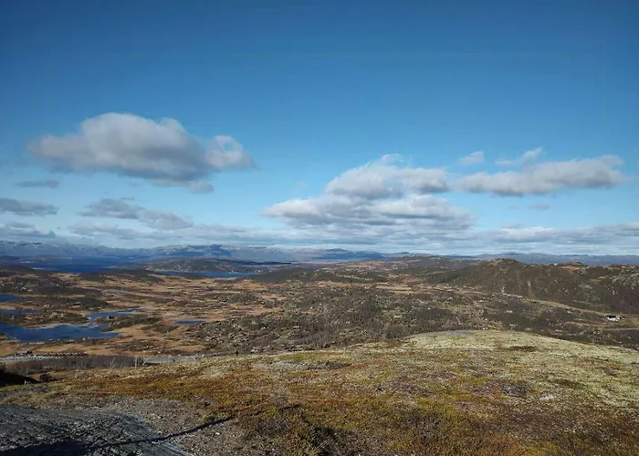 Cozy With Ski-inout At Raulandsfjell *