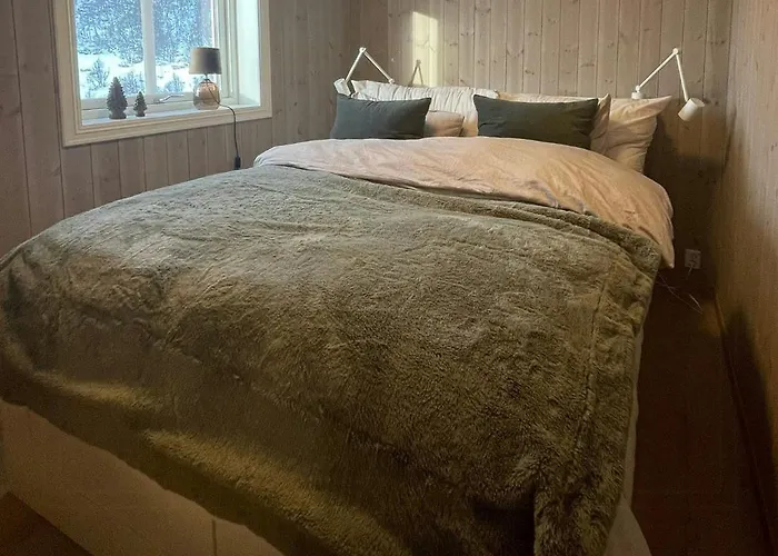 Cozy With Ski-inout At Raulandsfjell Rauland