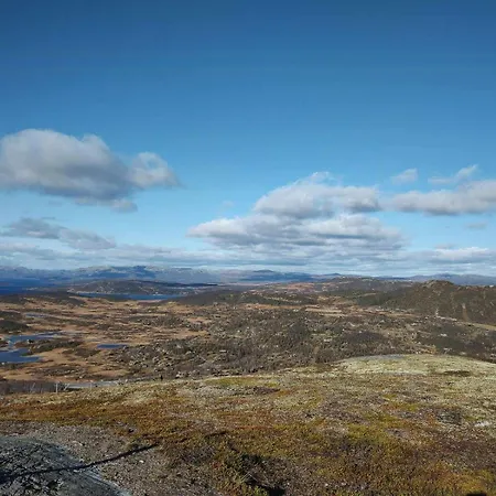 Cozy With Ski-inout At Raulandsfjell *